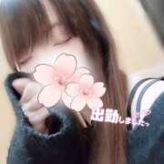 ヒメ日記 2025/12/29 14:01 投稿 おとは 小岩人妻花壇