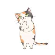 ヒメ日記 2026/03/05 23:39 投稿 おとは 小岩人妻花壇