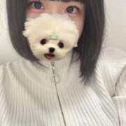 ヒメ日記 2025/05/05 15:44 投稿 ちこ S級しろうと娘