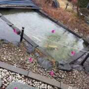 ヒメ日記 2025/07/03 16:12 投稿 みしな♪ プリティーガール