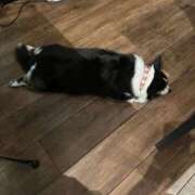 ヒメ日記 2025/09/18 08:30 投稿 みしな♪ プリティーガール