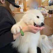 ヒメ日記 2025/11/24 16:35 投稿 みしな♪ プリティーガール