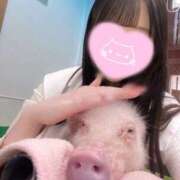 うらら うらら🐶 池袋あられ