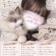うらら 猫ちゃんでした！🐱 池袋あられ