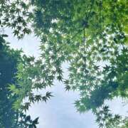 ヒメ日記 2025/05/17 15:22 投稿 ゆず（新人割引5/10まで） ウルトラグレイス24