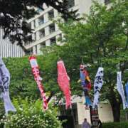 ヒメ日記 2025/05/05 17:00 投稿 さき 小岩人妻花壇