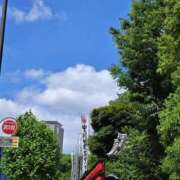 ヒメ日記 2025/05/28 10:13 投稿 さき 小岩人妻花壇