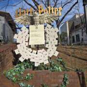 ヒメ日記 2025/06/26 19:02 投稿 さき 小岩人妻花壇