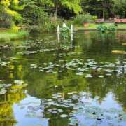 ヒメ日記 2025/08/18 19:05 投稿 さき 小岩人妻花壇