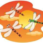 ヒメ日記 2025/10/17 19:07 投稿 さき 小岩人妻花壇