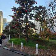 ヒメ日記 2025/12/14 16:54 投稿 さき 小岩人妻花壇