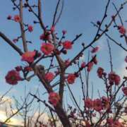 ヒメ日記 2026/02/07 15:08 投稿 泉じゅん 五十路マダムエクスプレス豊橋店（カサブランカグループ）