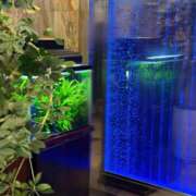 ヒメ日記 2025/05/01 21:20 投稿 宮守　真央 エンジェルコースト