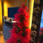 ヒメ日記 2025/11/24 23:56 投稿 宮守　真央 エンジェルコースト