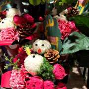 ヒメ日記 2025/12/24 21:27 投稿 宮守　真央 エンジェルコースト