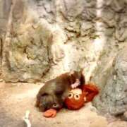 ヒメ日記 2026/04/14 16:46 投稿 宮守　真央 エンジェルコースト