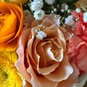 れいん お知らせ☔️ 姫コレクション