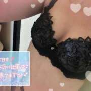 ヒメ日記 2025/05/15 15:27 投稿 なのか Gossip girl