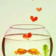 ヒメ日記 2025/07/18 10:31 投稿 ひかる 完熟ばなな札幌・すすきの