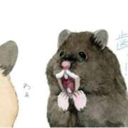 ヒメ日記 2025/07/30 22:42 投稿 ひかる 完熟ばなな札幌・すすきの