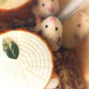 ヒメ日記 2025/08/20 21:29 投稿 ひかる 完熟ばなな札幌・すすきの