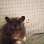 ヒメ日記 2025/08/25 23:09 投稿 ひかる 完熟ばなな札幌・すすきの