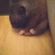 ヒメ日記 2025/09/10 13:39 投稿 ひかる 完熟ばなな札幌・すすきの