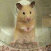 ヒメ日記 2025/09/10 20:29 投稿 ひかる 完熟ばなな札幌・すすきの