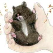 ヒメ日記 2025/09/18 21:39 投稿 ひかる 完熟ばなな札幌・すすきの