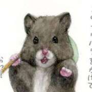 ヒメ日記 2025/09/28 23:29 投稿 ひかる 完熟ばなな札幌・すすきの