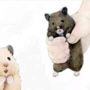 ヒメ日記 2025/10/03 11:09 投稿 ひかる 完熟ばなな札幌・すすきの