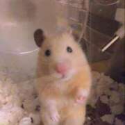 ヒメ日記 2025/10/24 21:59 投稿 ひかる 完熟ばなな札幌・すすきの