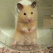 ヒメ日記 2025/10/27 22:28 投稿 ひかる 完熟ばなな札幌・すすきの