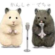 ヒメ日記 2025/10/31 23:29 投稿 ひかる 完熟ばなな札幌・すすきの