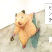 ヒメ日記 2025/11/20 18:49 投稿 ひかる 完熟ばなな札幌・すすきの