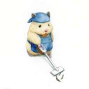 ヒメ日記 2025/11/24 22:09 投稿 ひかる 完熟ばなな札幌・すすきの