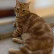 ヒメ日記 2025/11/25 22:59 投稿 ひかる 完熟ばなな札幌・すすきの