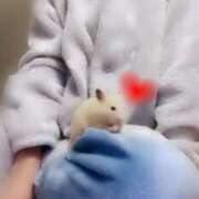 ヒメ日記 2025/11/29 21:59 投稿 ひかる 完熟ばなな札幌・すすきの