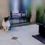 ヒメ日記 2025/12/22 18:49 投稿 ひかる 完熟ばなな札幌・すすきの