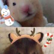 ヒメ日記 2025/12/24 19:59 投稿 ひかる 完熟ばなな札幌・すすきの