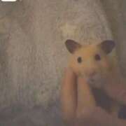 ヒメ日記 2026/01/04 20:09 投稿 ひかる 完熟ばなな札幌・すすきの