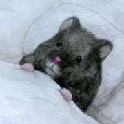 ヒメ日記 2026/01/14 21:29 投稿 ひかる 完熟ばなな札幌・すすきの