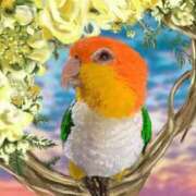 ヒメ日記 2026/01/16 20:29 投稿 ひかる 完熟ばなな札幌・すすきの