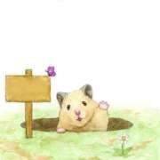 ヒメ日記 2026/01/21 22:39 投稿 ひかる 完熟ばなな札幌・すすきの