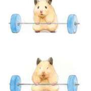 ヒメ日記 2026/01/23 22:19 投稿 ひかる 完熟ばなな札幌・すすきの