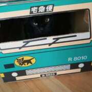 ヒメ日記 2026/01/25 20:49 投稿 ひかる 完熟ばなな札幌・すすきの