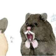 ヒメ日記 2026/01/28 22:39 投稿 ひかる 完熟ばなな札幌・すすきの