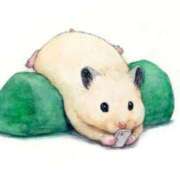 ヒメ日記 2026/02/01 19:29 投稿 ひかる 完熟ばなな札幌・すすきの