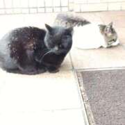 ヒメ日記 2026/02/13 12:59 投稿 ひかる 完熟ばなな札幌・すすきの