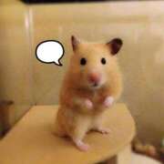 ヒメ日記 2026/02/15 21:50 投稿 ひかる 完熟ばなな札幌・すすきの